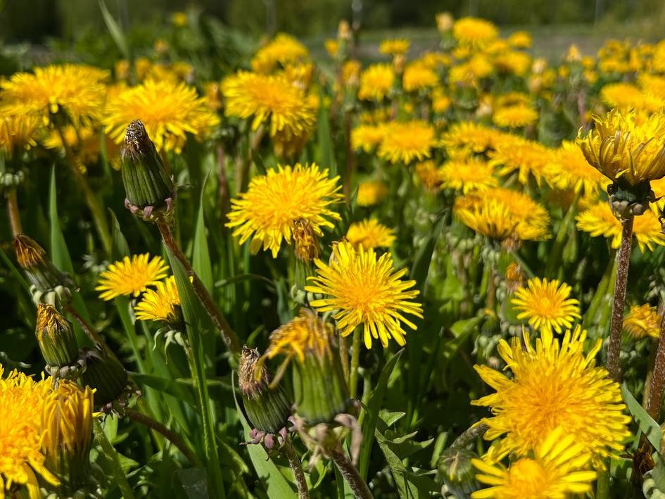 Фото: REGIONS/Татьяна Кордюкова