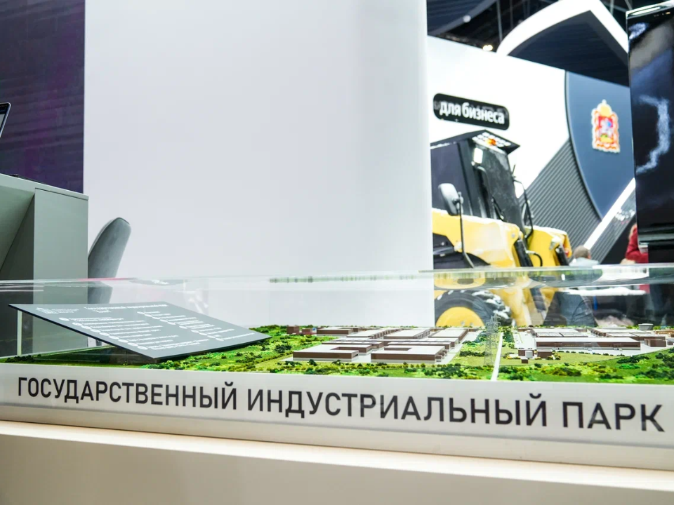 Фото: пресс-служба губернатора и правительства Московской области/Александра Степанова