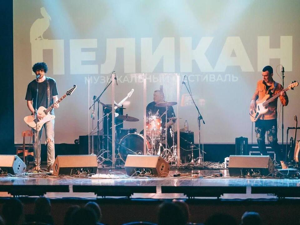 Фото: пресс-служба администрации г.о. Кашира