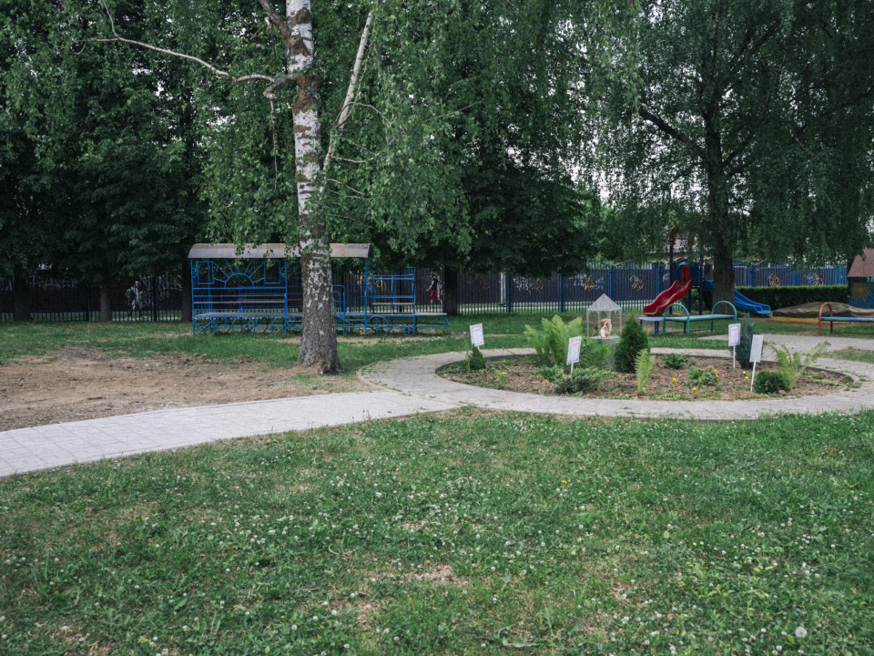 Фото: пресс-служба администрации г.о. Домодедово