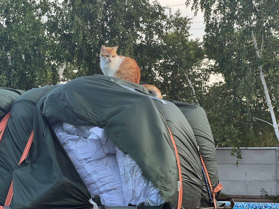 Фото: Николо-Угрешский монастырь