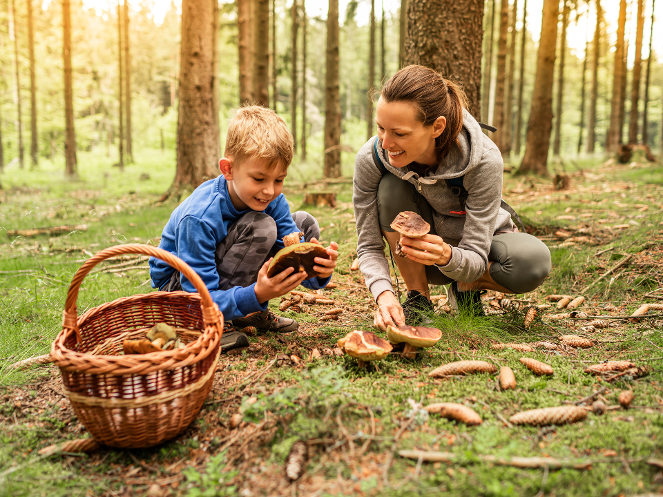   Фото: istockphoto.com