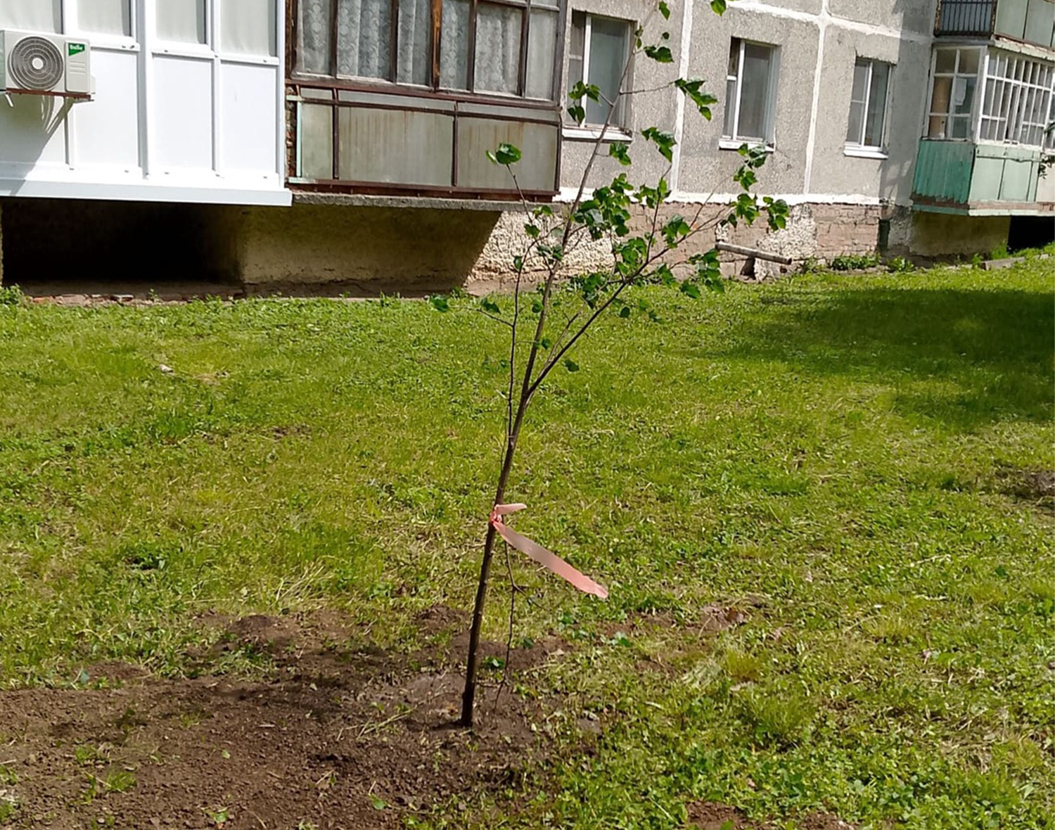 Фото: МБУ «Благоустройство, ЖКХ и ДХ м. о. Зарайск» 