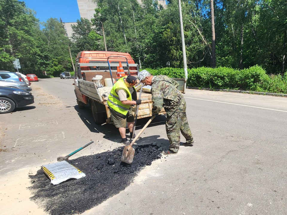 Фото: МедиаБанк Подмосковья/Анна Мороз
