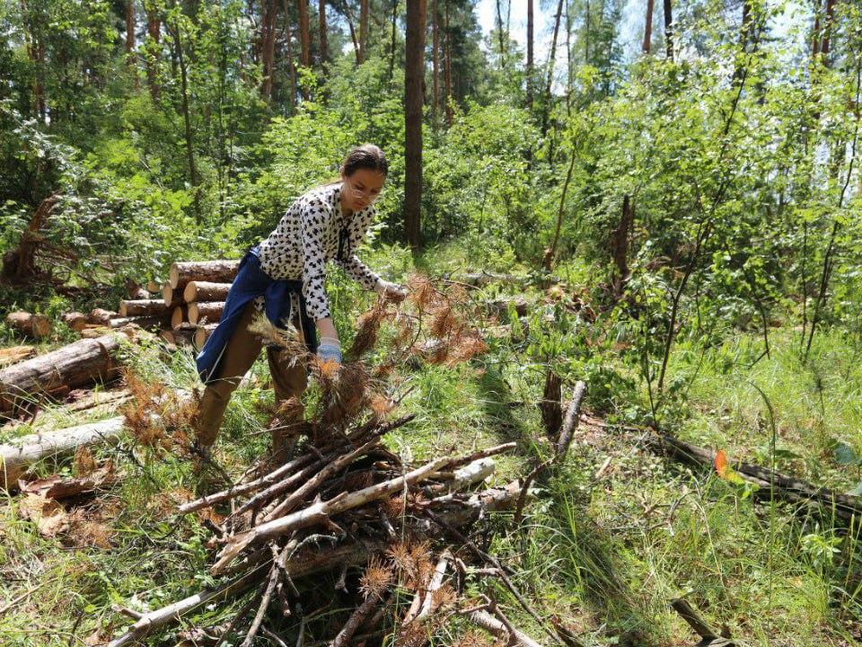 Фото: Комитет лесного хозяйства Московской области