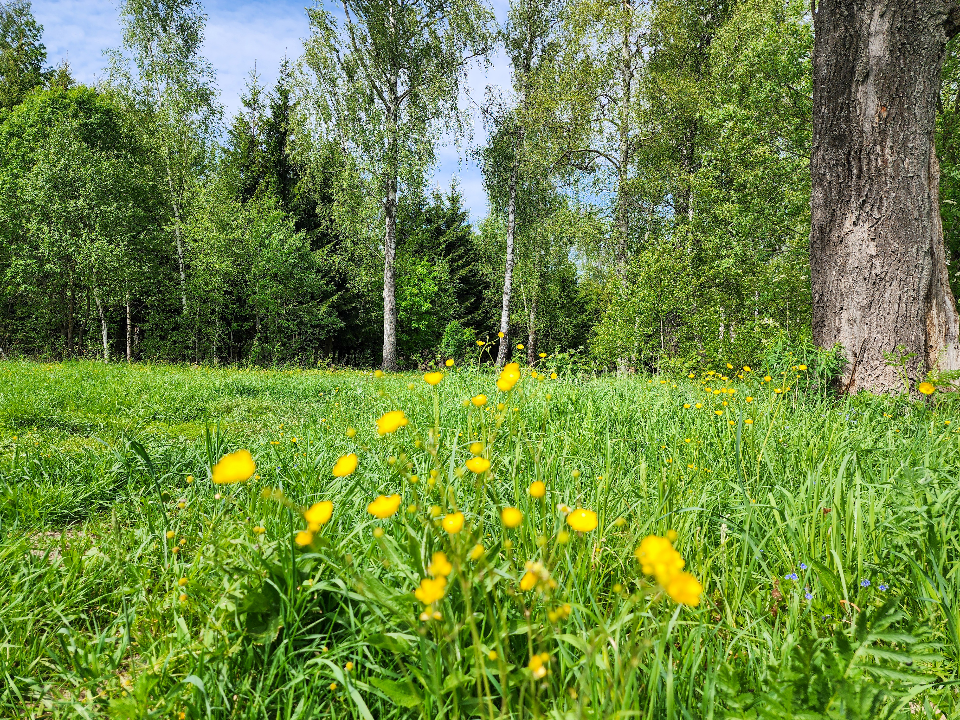 Фото: Мария Андрюхина