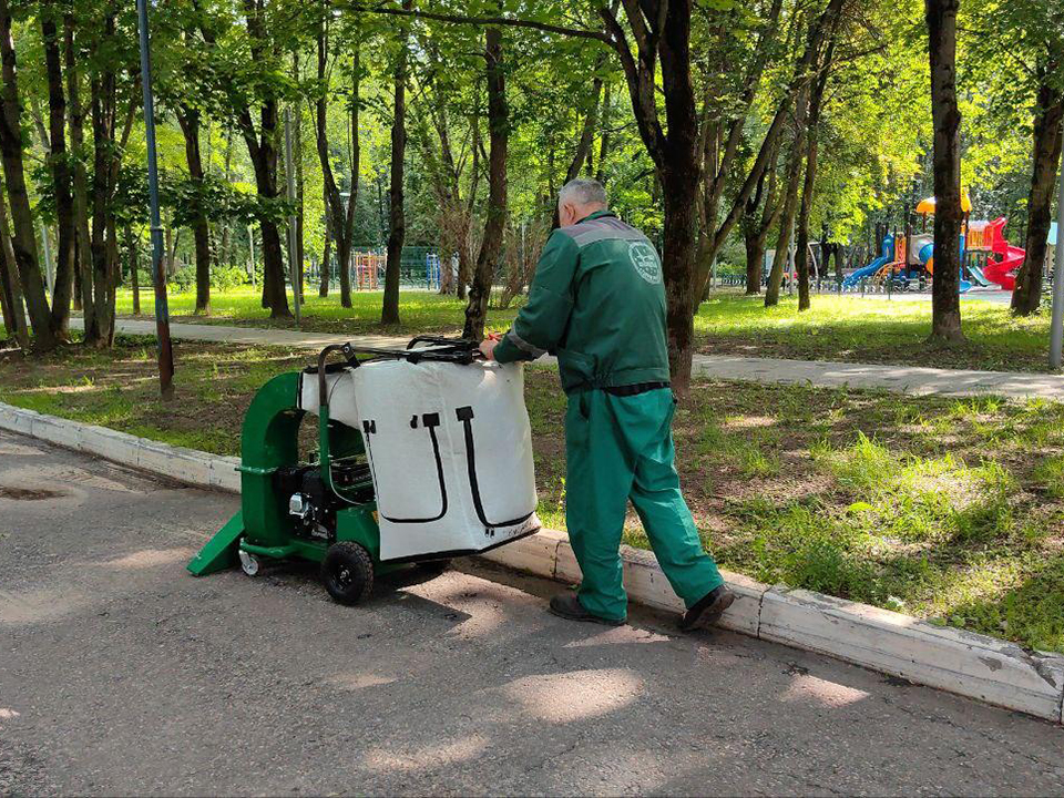 Фото: REGIONS/Елена Катасонова