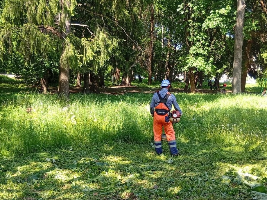 Фото: пресс-служба администрации Наро-Фоминского г.о. 