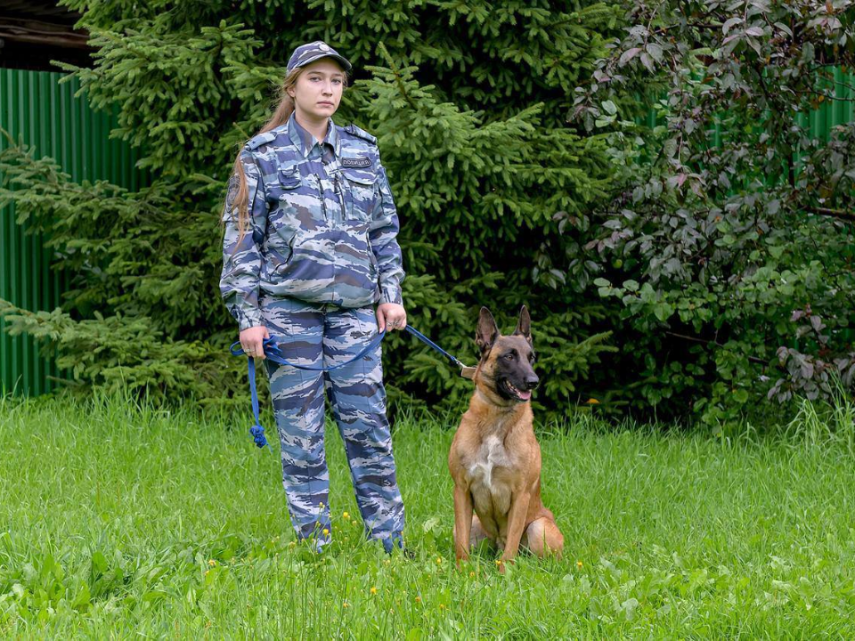 Фото: пресс-служба администрации г. о. Подольск