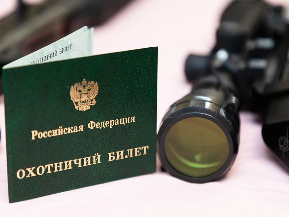 Фото: пресс-служба администрации г. о. Королев