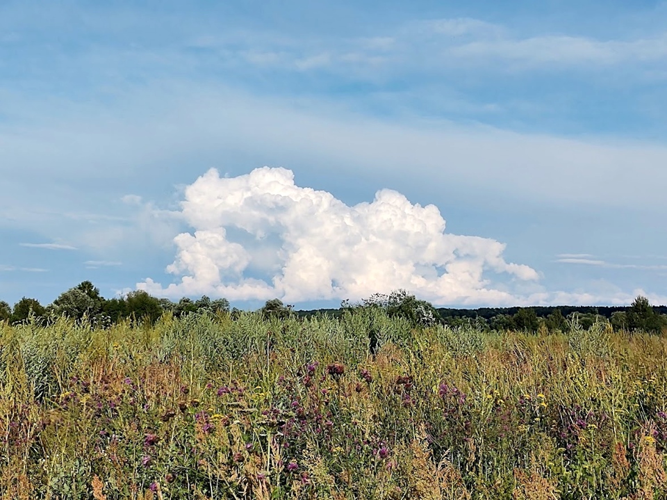 Фото: REGIONS/Алексей Селиверстов