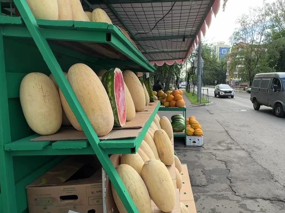 Фото: Ксения Казакова