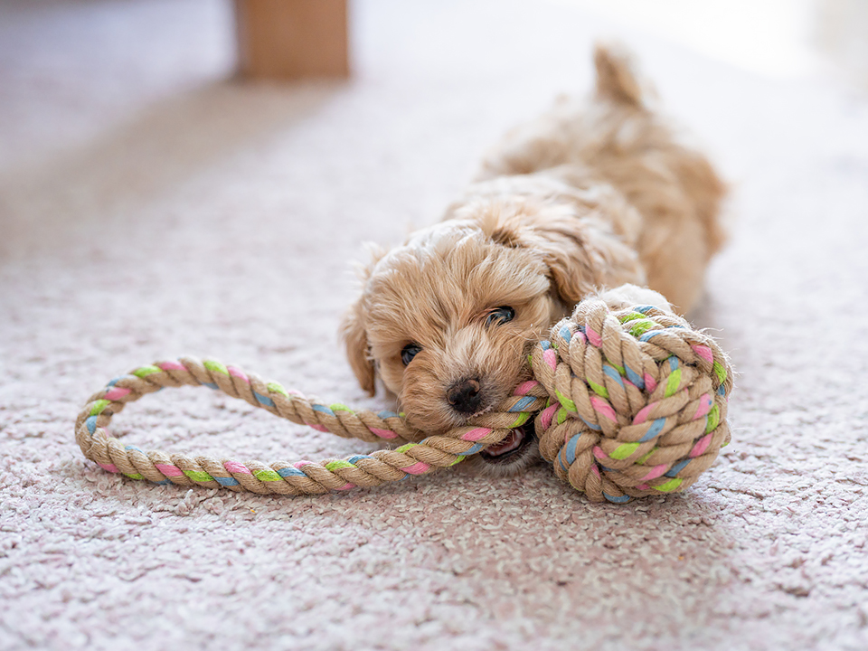 Фото: istockphoto.com