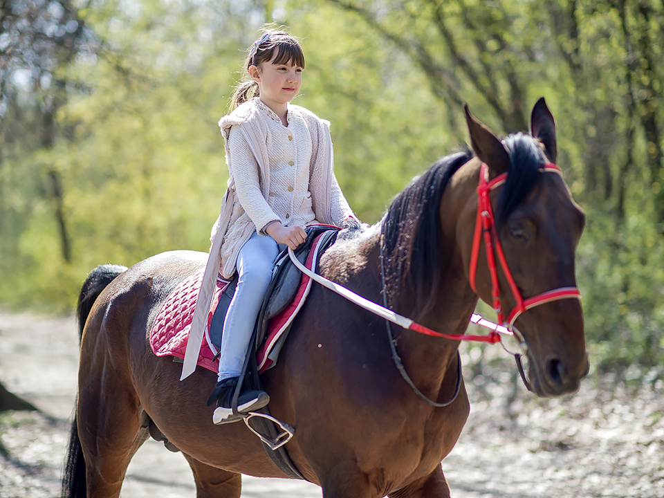 Фото: istockphoto.com