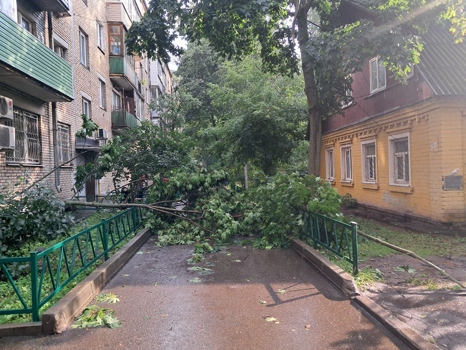 Фото: МедиаБанк Подмосковья/Роман Савельев