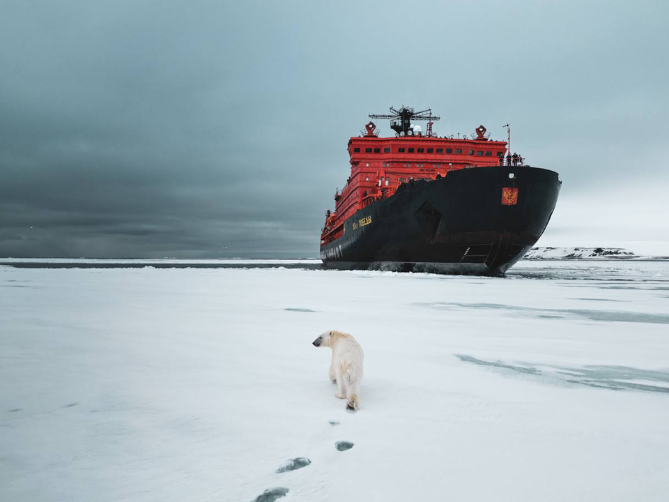 Фото: t.me/alexanderlegkov