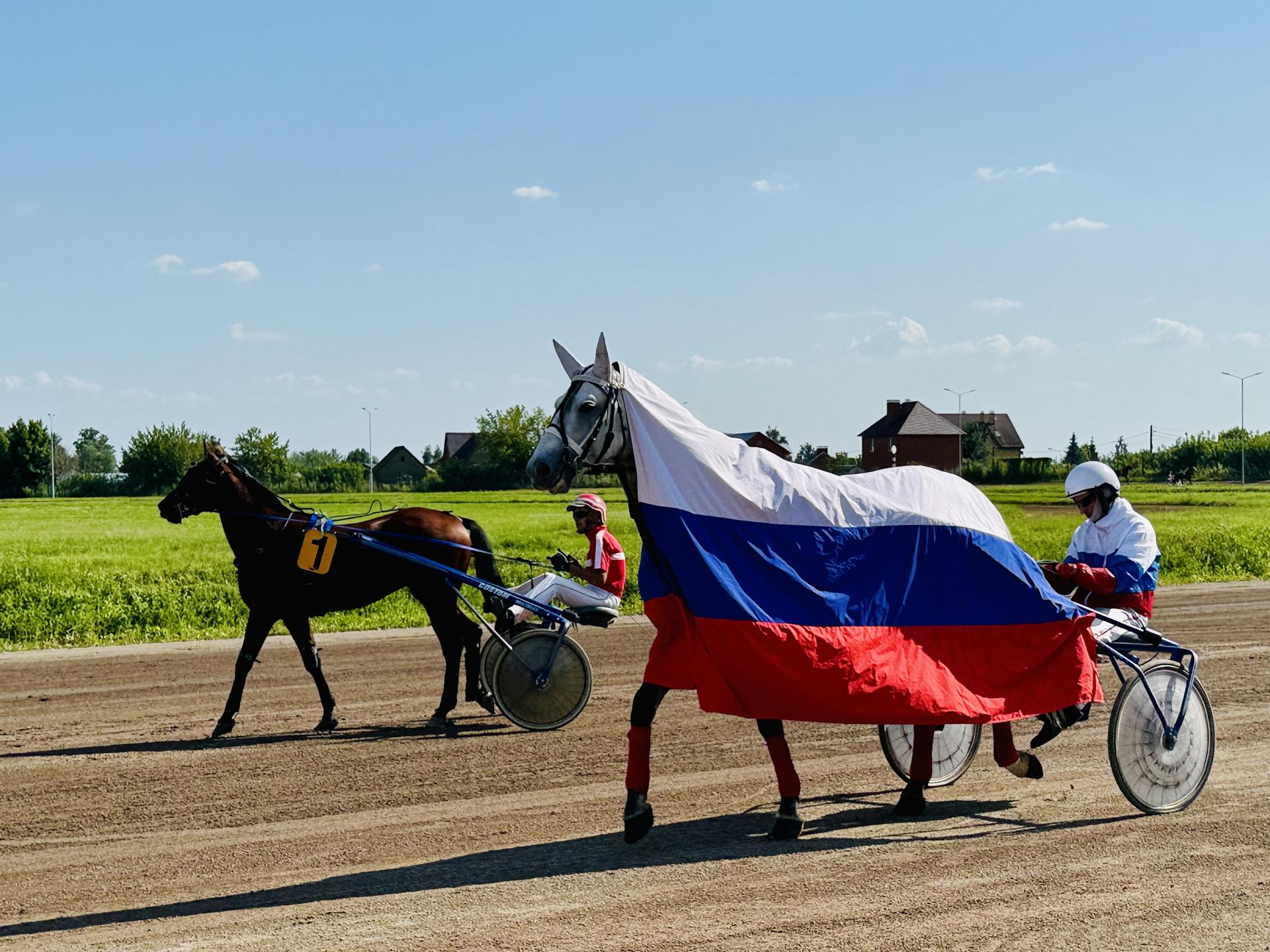Фото: Ольга Стаферова