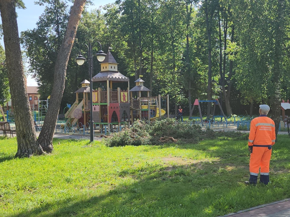 Фото: REGIONS/Александр Степушкин