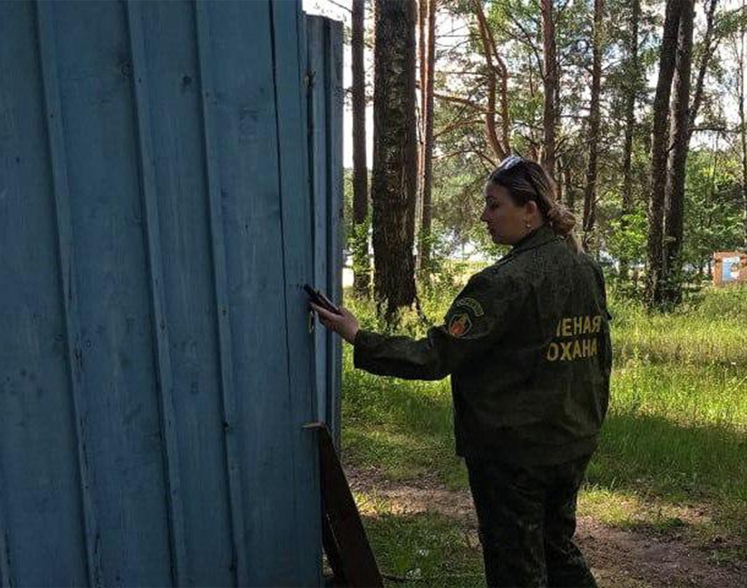 Фото: Комитет лесного хозяйства Московской области