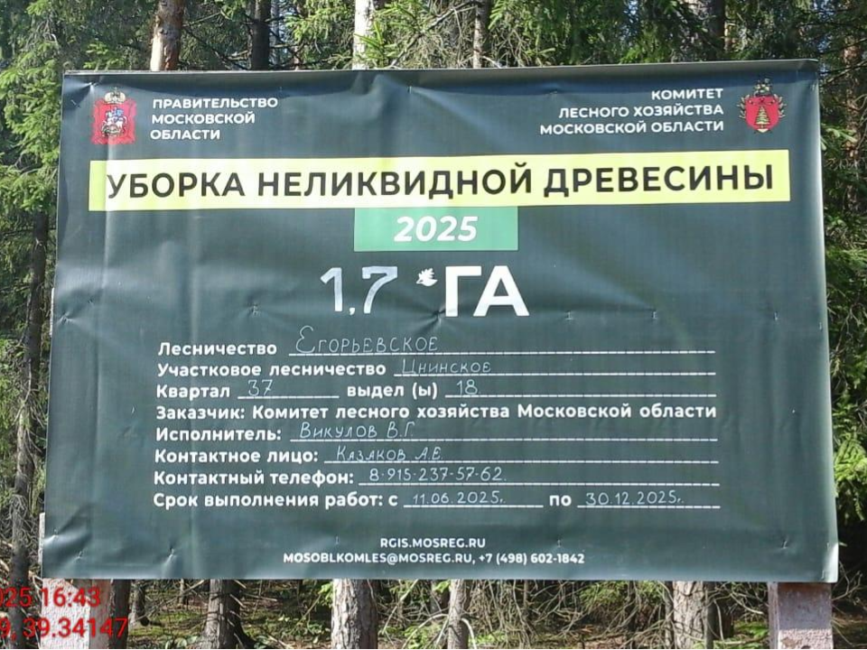 Фото: Комитет лесного хозяйства Московской области