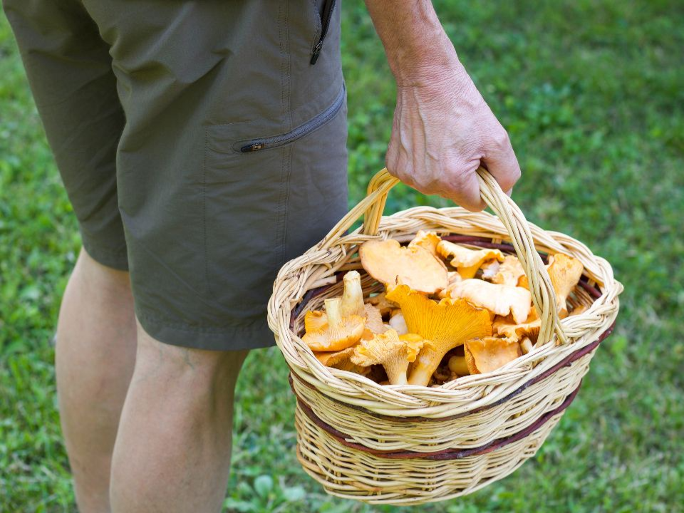   Фото: istockphoto.com