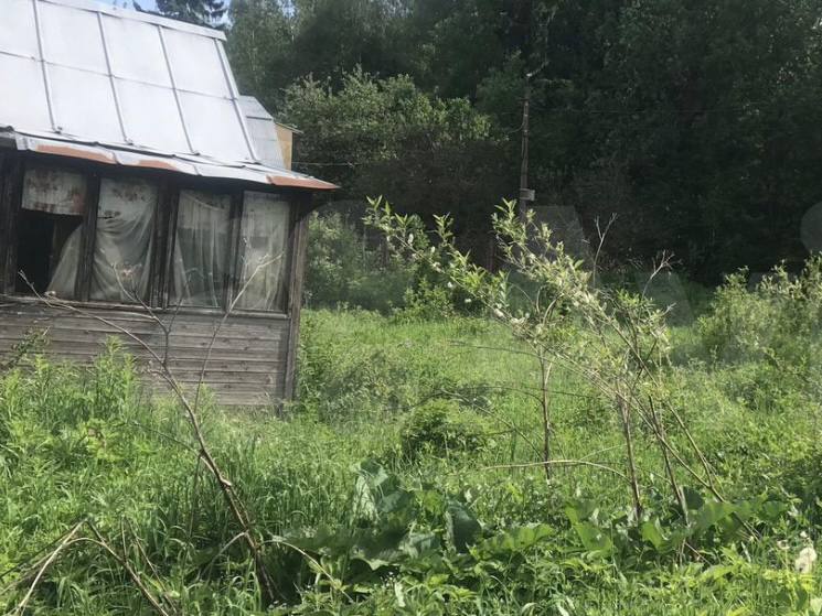 Фото: городская доска объявлений 