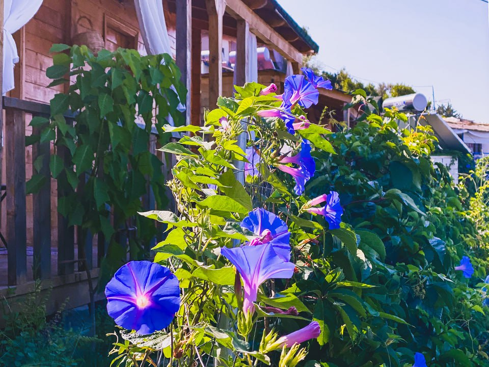 Фото: istockphoto.com
