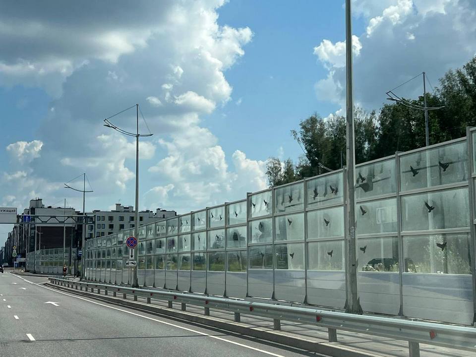 Фото: пресс-служба администрации г.о. Мытищи