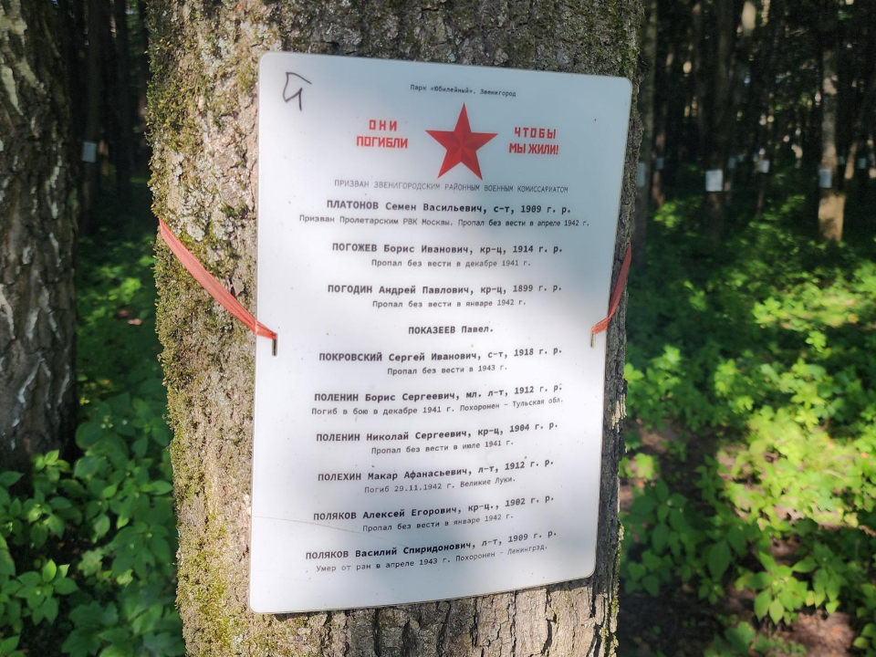 Фото: Хавива Фонина