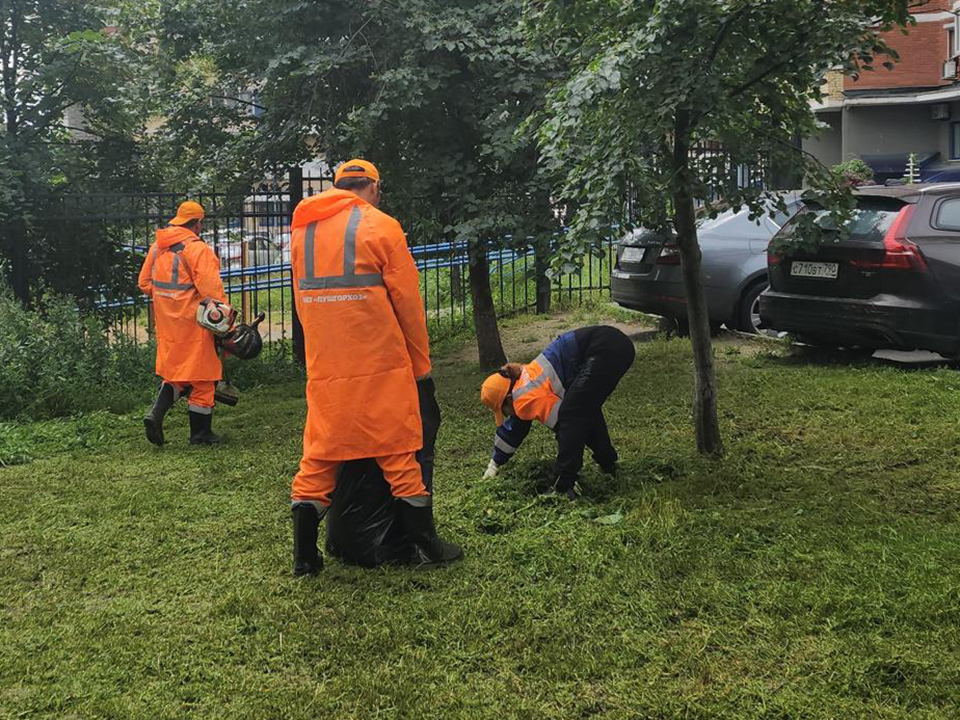 Фото: МедиаБанк Подмосковья/Ольга Шеметова