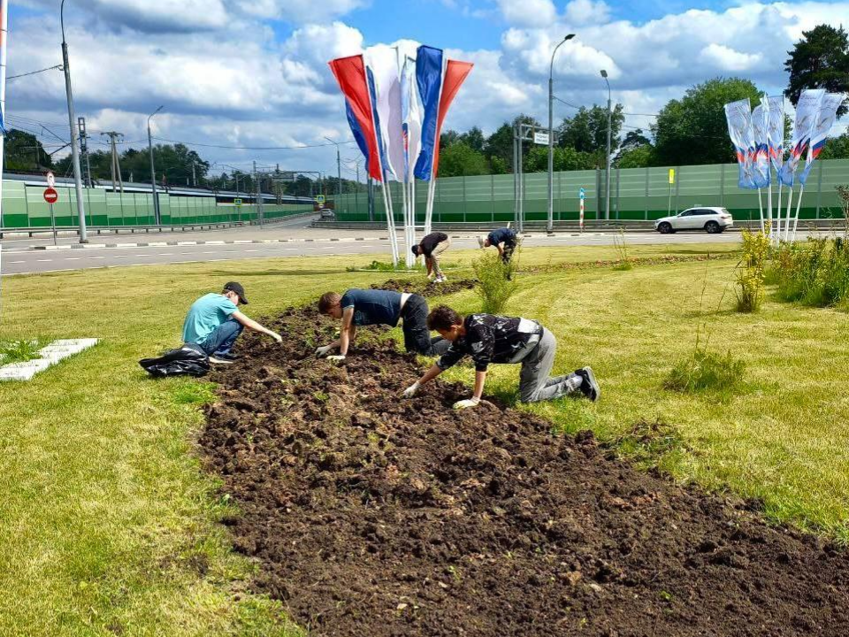 Фото: Министерство по содержанию территорий и государственному жилищному надзору МО