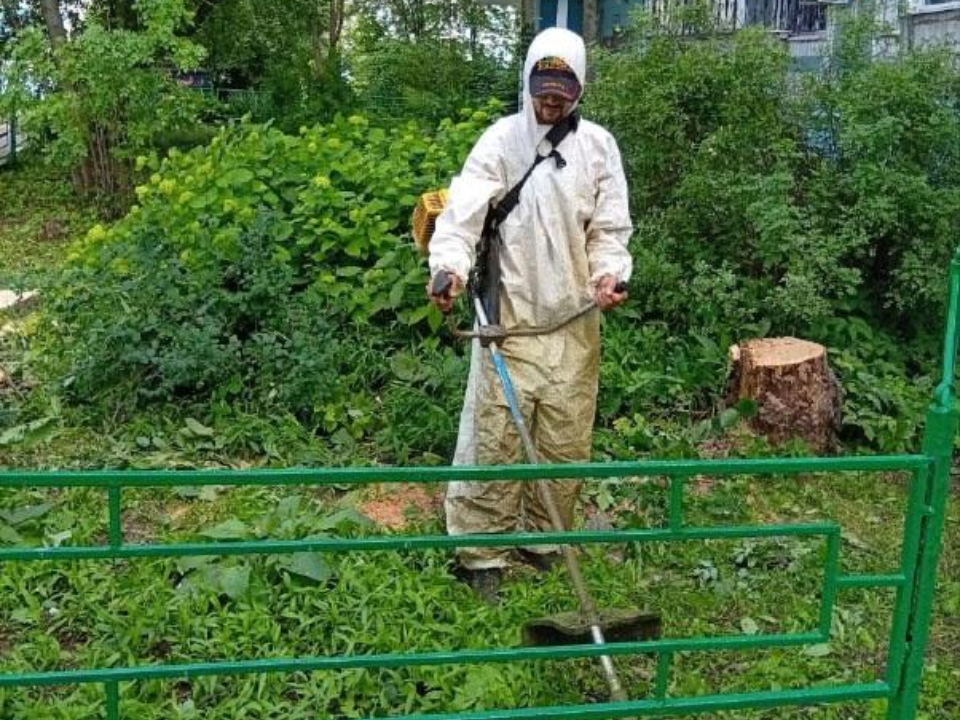 Фото: Министерство по содержанию территорий и государственному жилищному надзору МО