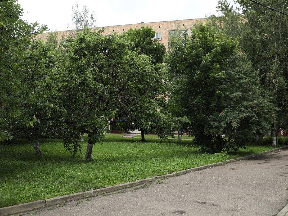 Фото: пресс-служба администрации Наро-Фоминского г.о.  
