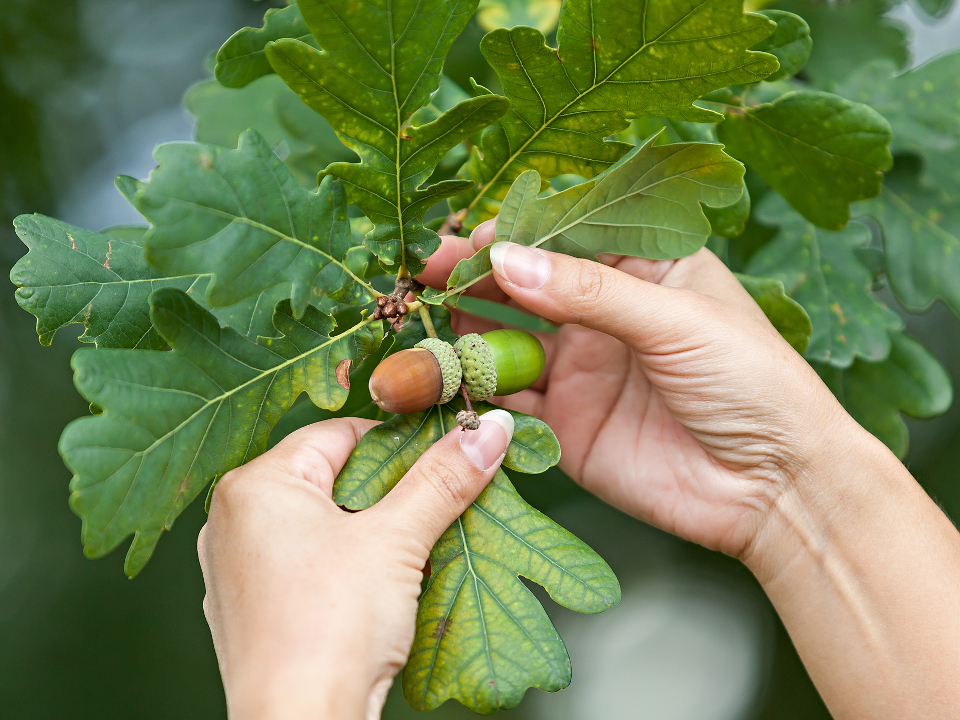 Фото: istockphoto.com