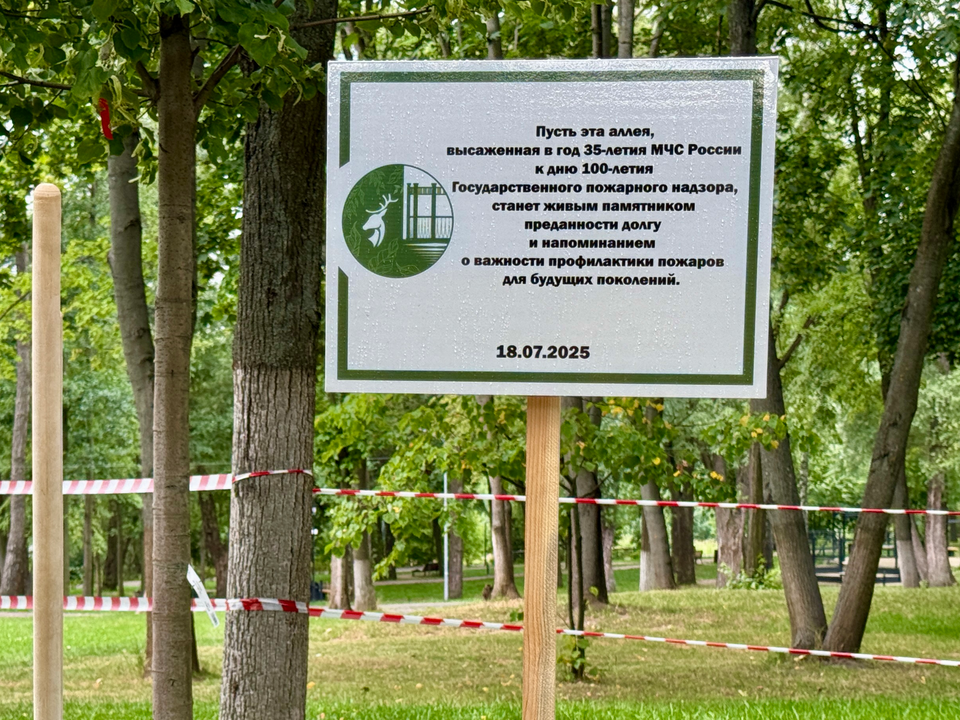 Фото: Ольга Стаферова