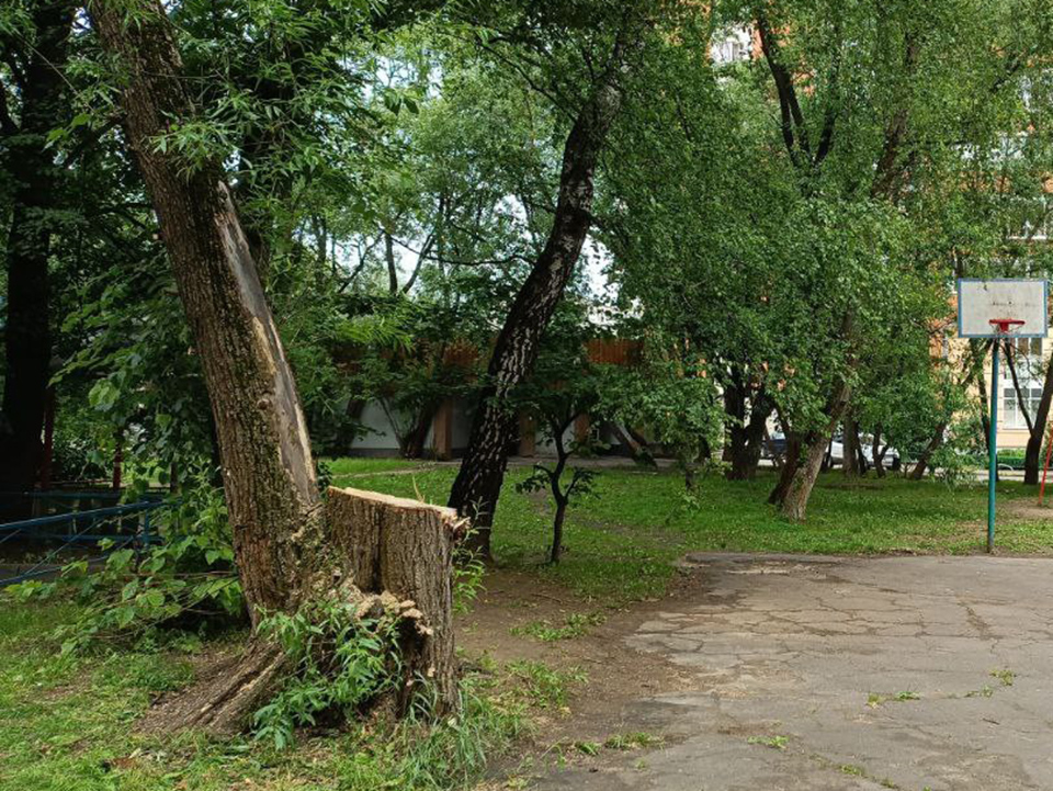 Фото: пресс-служба администрации Одинцовского г.о.