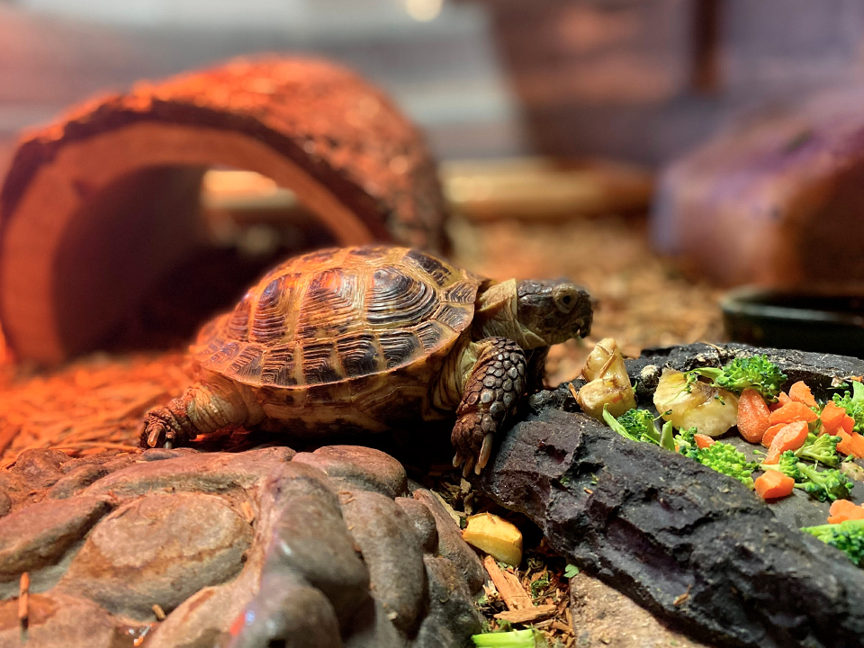 Фото: istockphoto.com