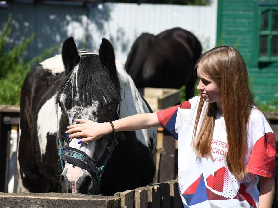 Фото: пресс-служба администрации городского округа Жуковский 
