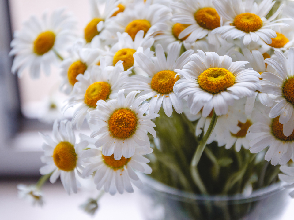 Фото: istockphoto.com 