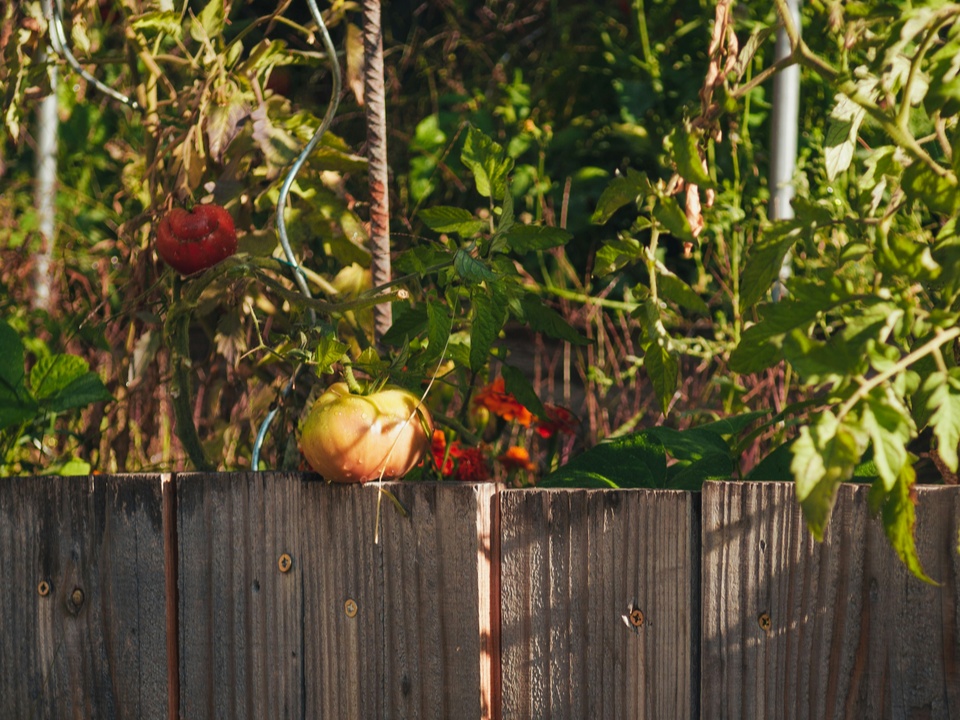 Фото: unsplash.com