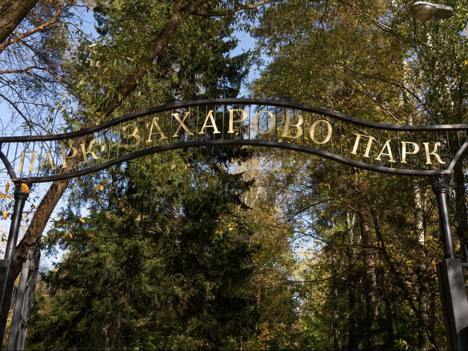 Фото: медиасток.рф
