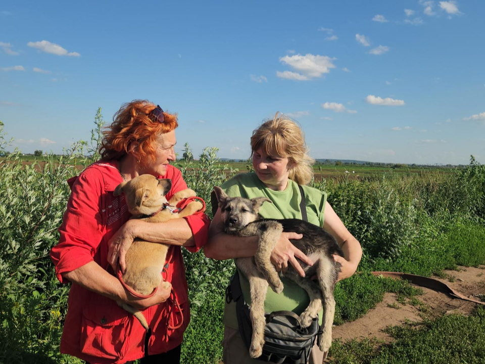 Фото: Наталья Лымарь
