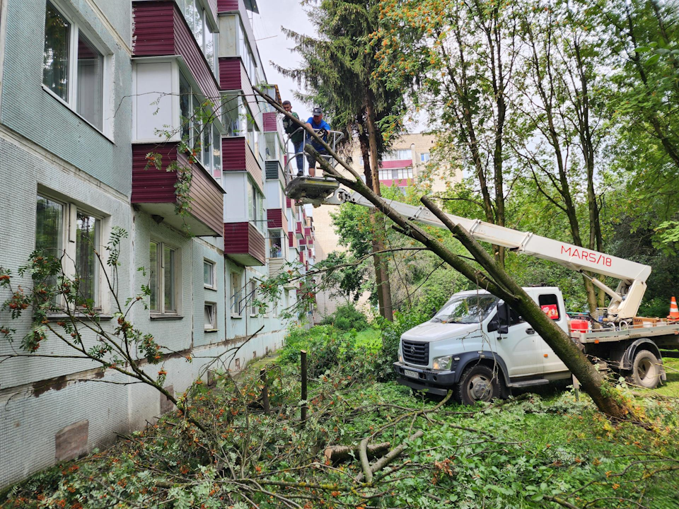 Фото: Дмитрий Алексеенко