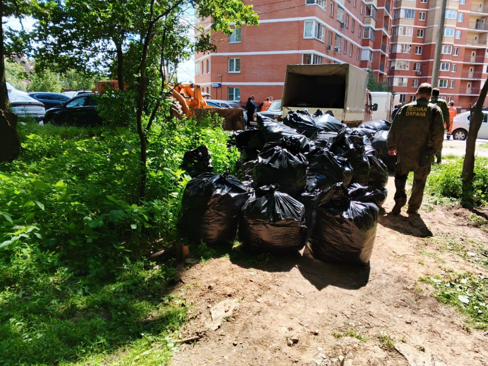 Фото: Комитет лесного хозяйства Московской области