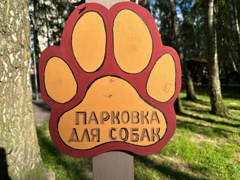 Фото: Эдуард Стратонов