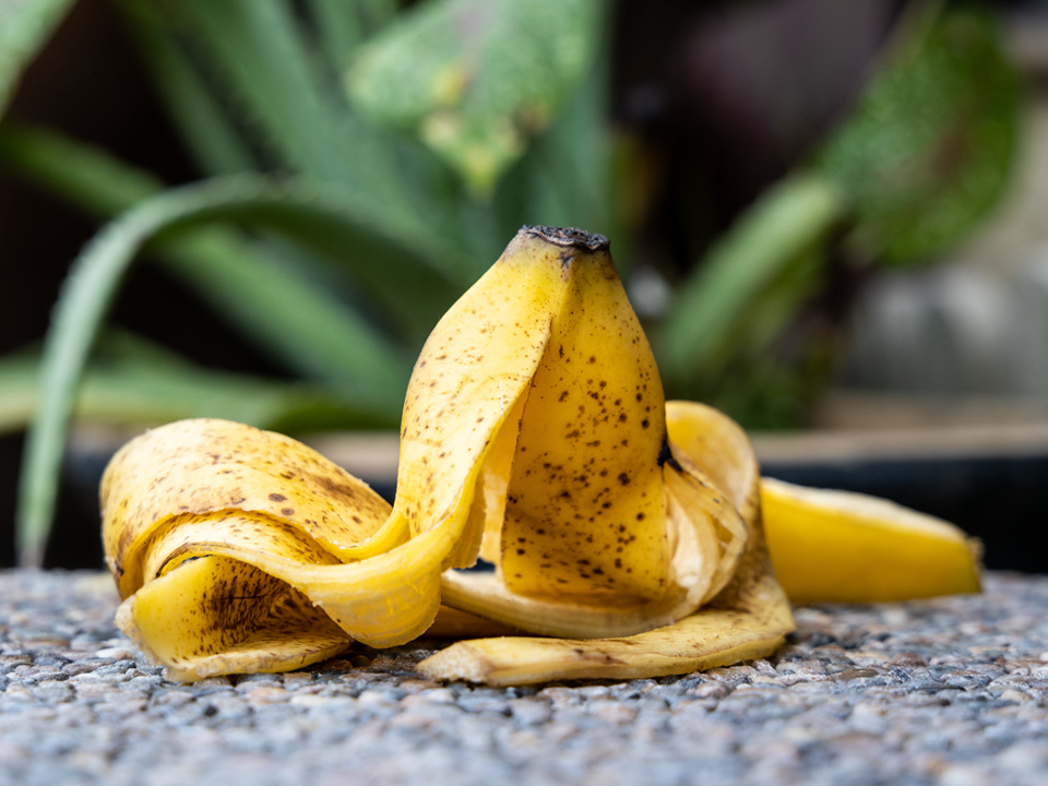 Фото: istockphoto.com