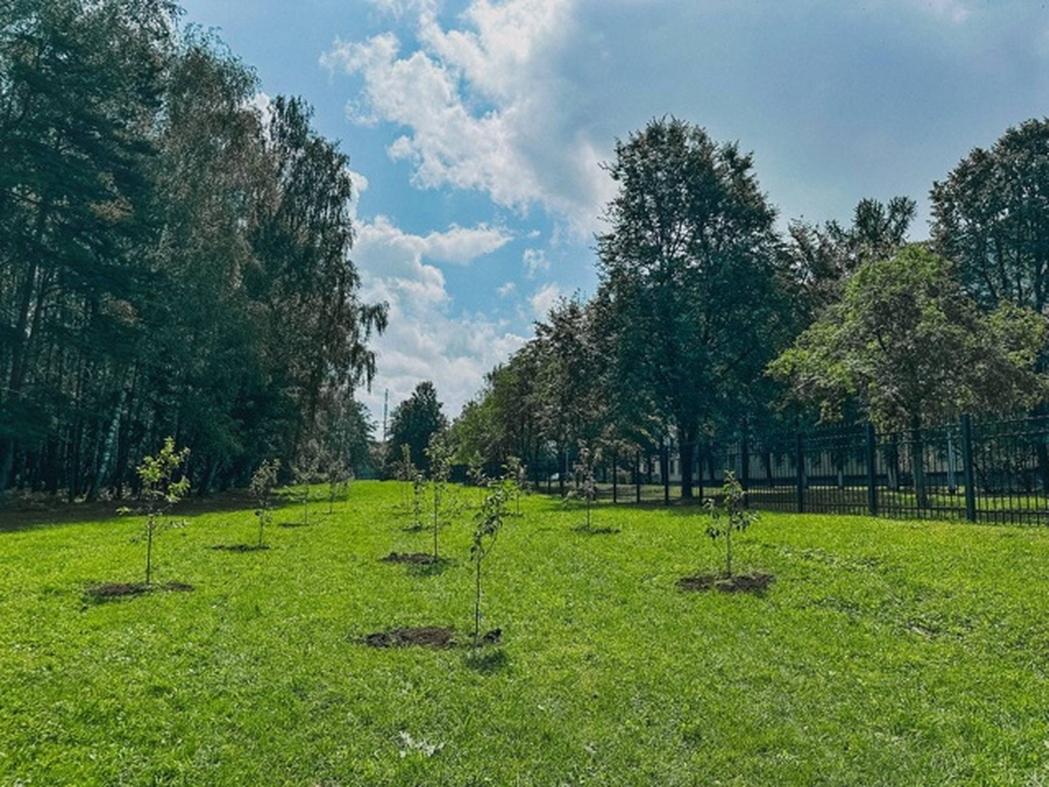 Фото: парки Каширы