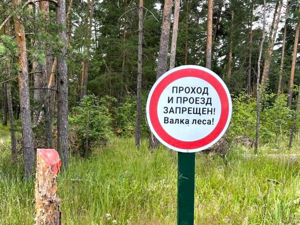 Фото: администрация г. о. Воскресенск