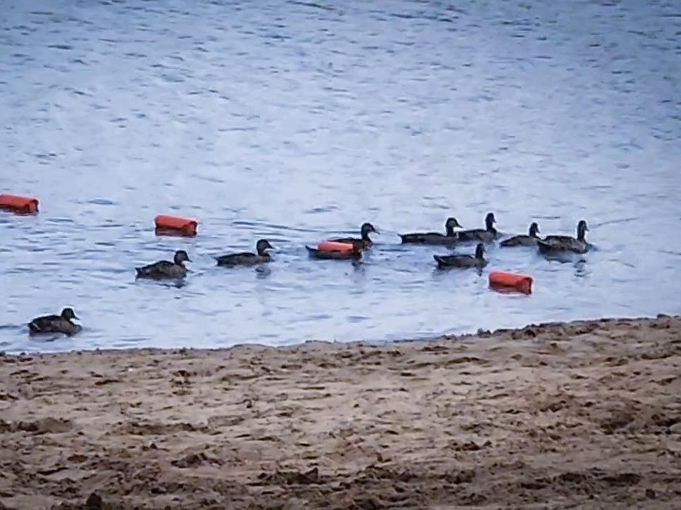 Фото: Ольга Антонова 