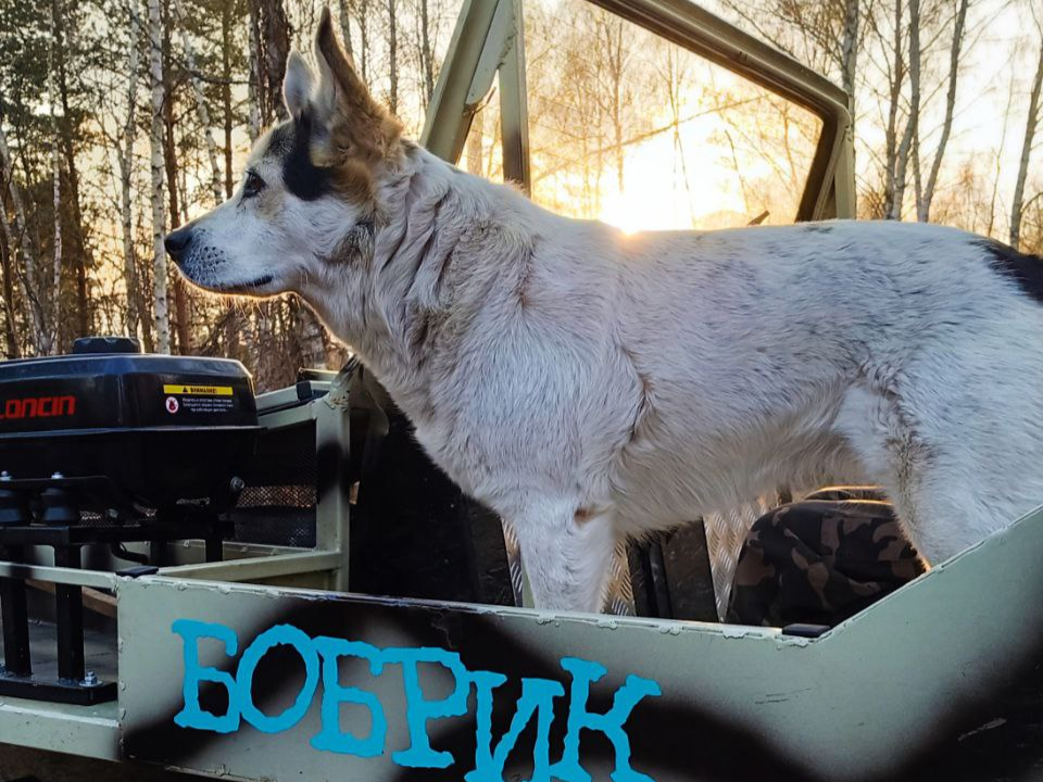 Фото: команда «Вольный ветер»